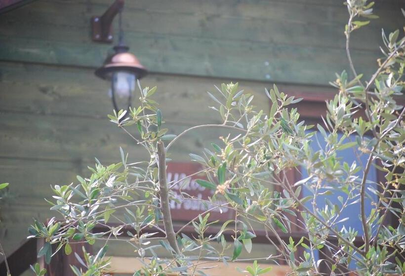 1ベッドルームハウス, Palazzo Conforti Tree House Resort