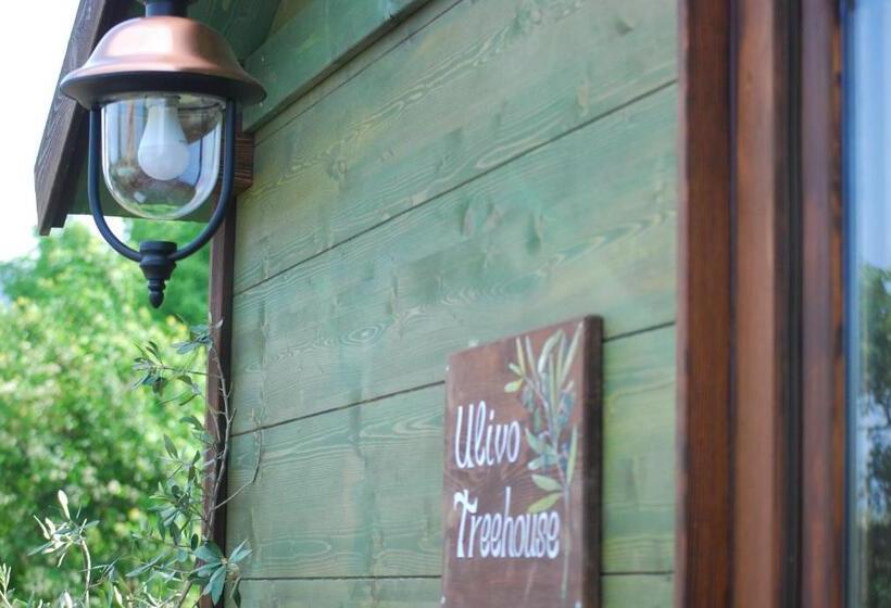 1ベッドルームハウス, Palazzo Conforti Tree House Resort