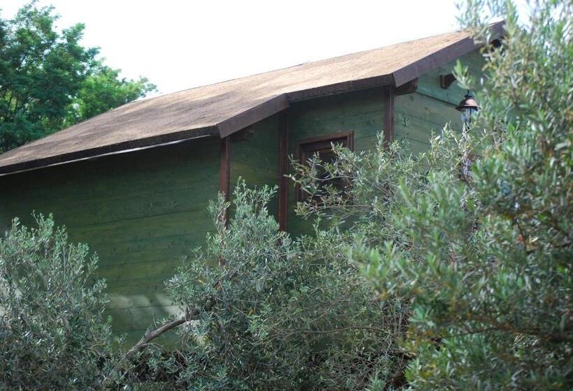 1ベッドルームハウス, Palazzo Conforti Tree House Resort