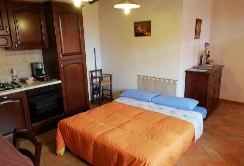 Апартаменты 1 Спальня, Agriturismo Collomici