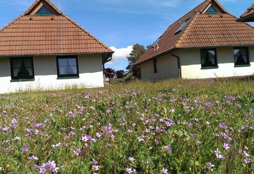스탠다드 방갈로, Jugendtours Feriendorf Ummanz