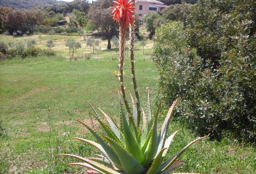 Standard Room, Affittacamere Valverde Di Pittalis Francesco