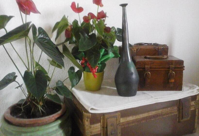 Standard Room, Affittacamere Valverde Di Pittalis Francesco