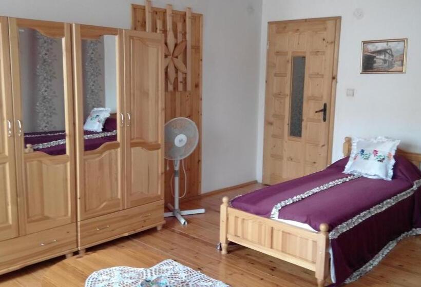 غرفة قياسية حمام مشترك, Elida Guest House