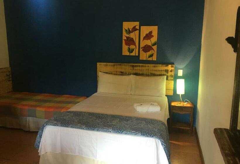 غرفة قياسية, Pousada Pepalantus