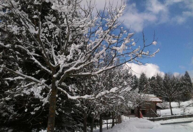 شقة غرفتين, Residence Cirese