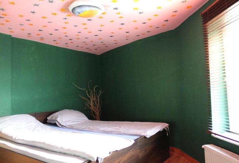 اتاق استاندارد با سرویس بهداشتی مشترک, Fun House