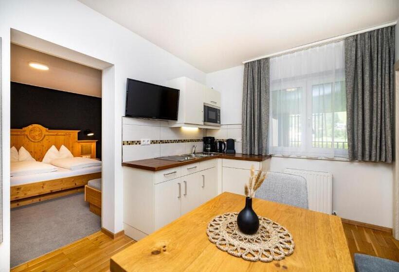 شقة غرفة واحدة, Aparthotel Jägerheim