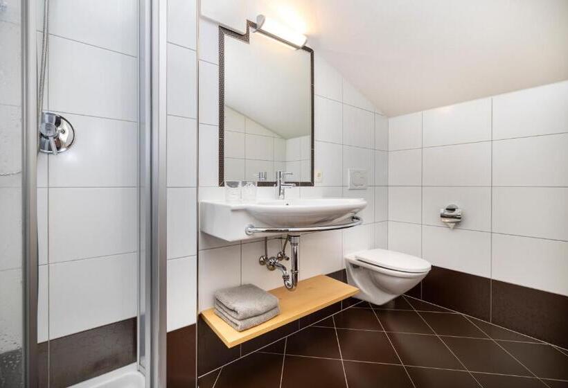 شقة غرفة واحدة, Aparthotel Jägerheim