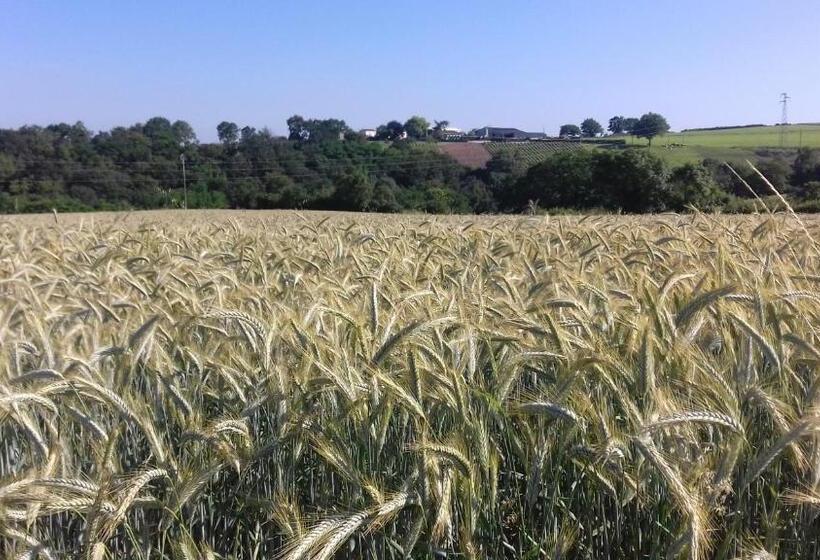 1间卧室的房子, Chambres D Hôtes Vignes Et Loire