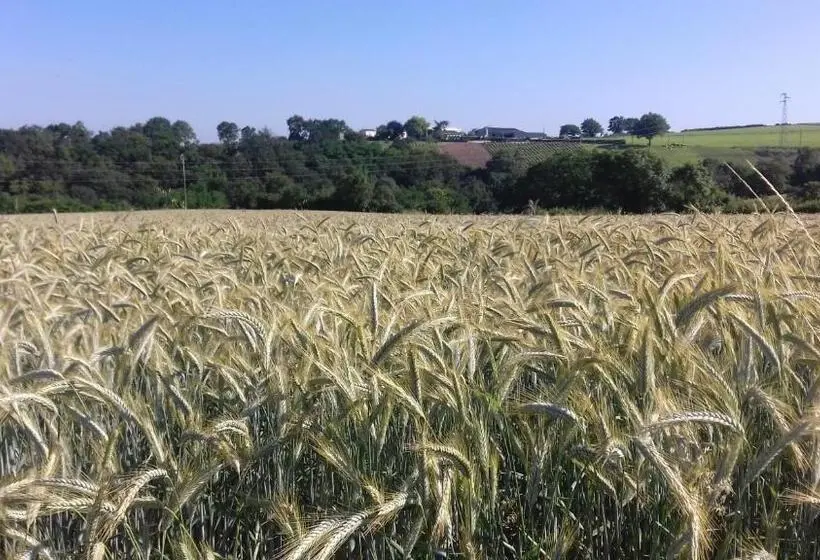 １ベッドルームハウス, Chambres D Hôtes Vignes Et Loire