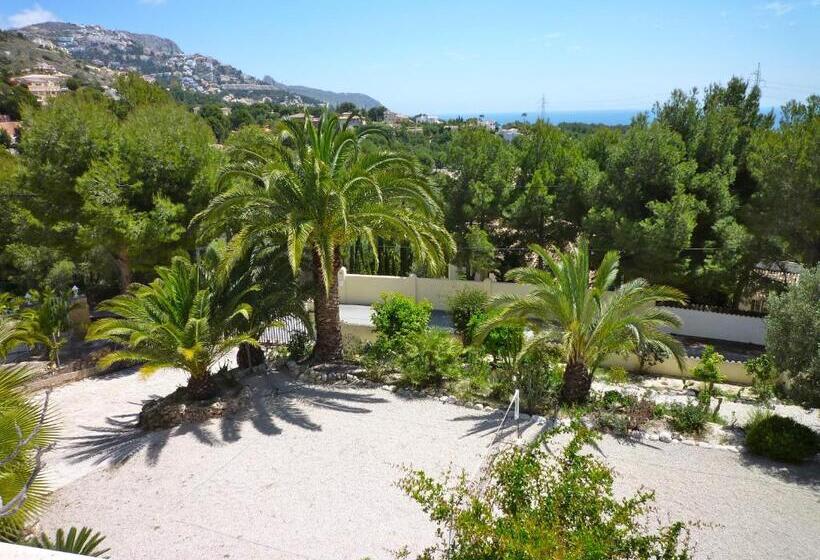 إستوديو قياسى, Guesthouse Villa Altea