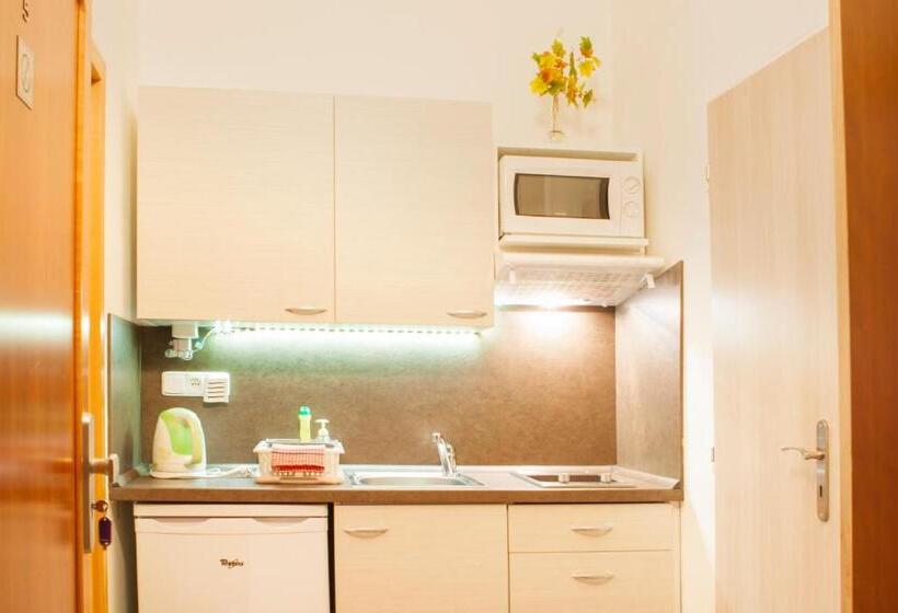 침실 1개 아파트, Apartmány   Penzion Smetanka