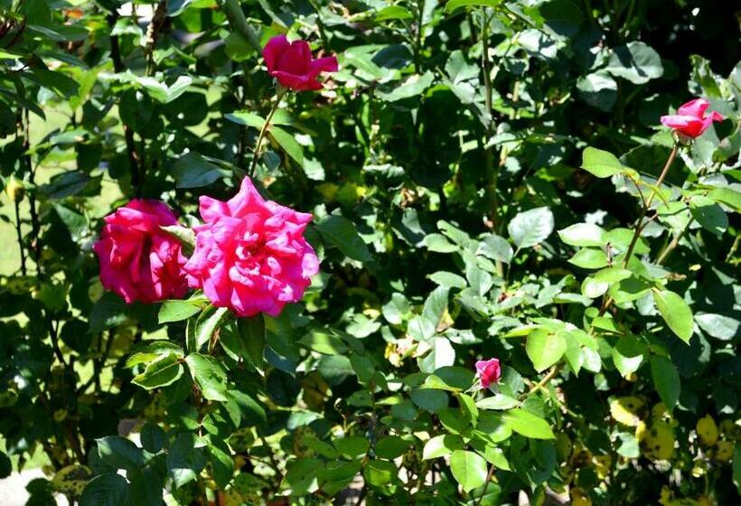 1间卧室的房子, Guest House Diabora