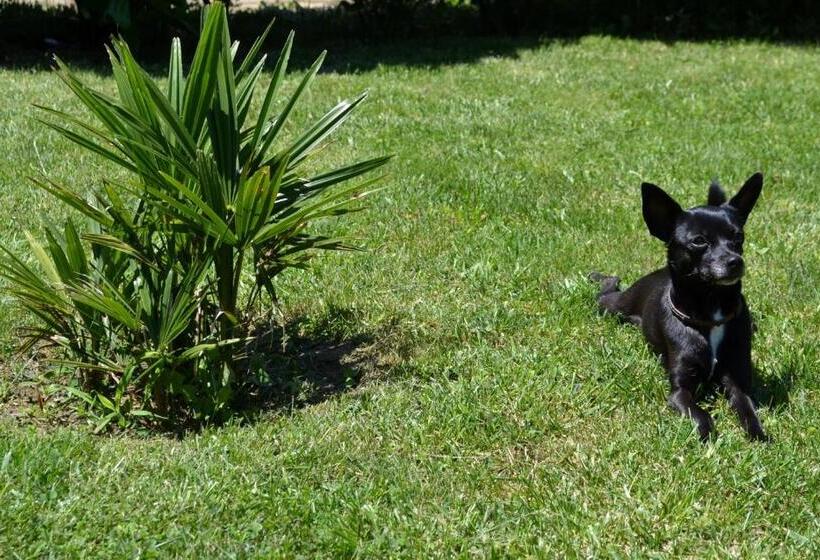 1间卧室的房子, Guest House Diabora