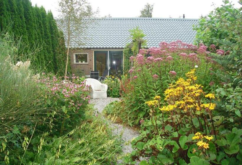 اتاق استاندارد, Roing B&b