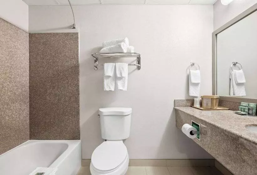 Standard-huone 2 Parivuodetta, Best Western Dartmouth new Bedford