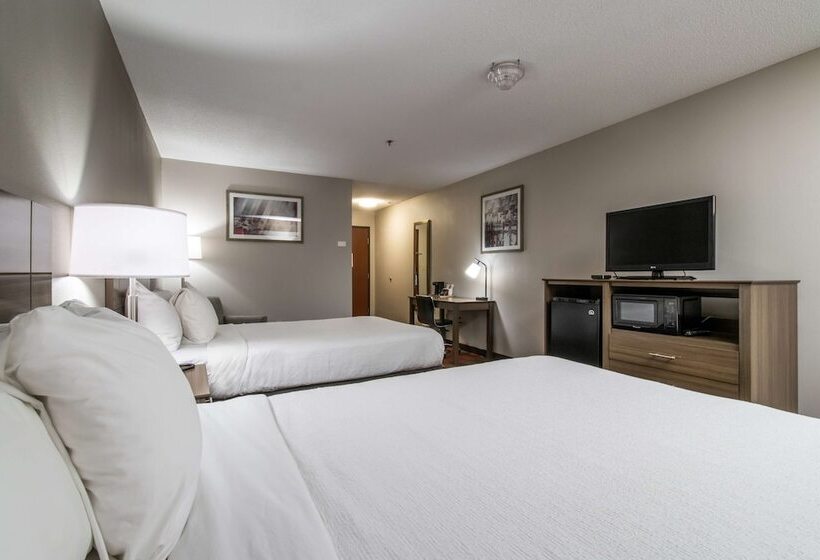 Номер Стандарт 2 Двуспальные Кровати, Best Western Dartmouth new Bedford