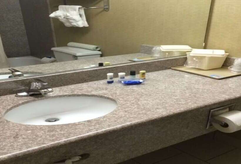 غرفه قياسيه سريرين مزدوجين, Best Western Dartmouth new Bedford