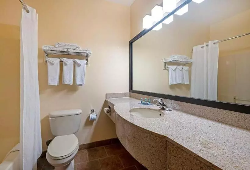 Standard-huone King-vuode, Best Western Laramie Inn & Suites