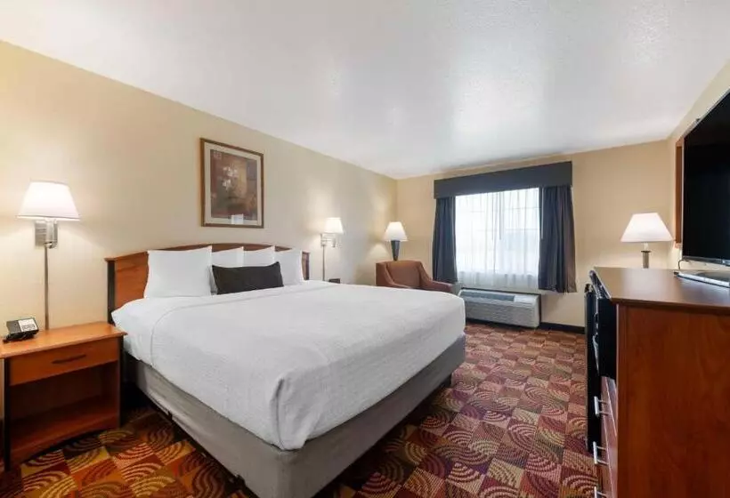 Standard-huone King-vuode, Best Western Laramie Inn & Suites
