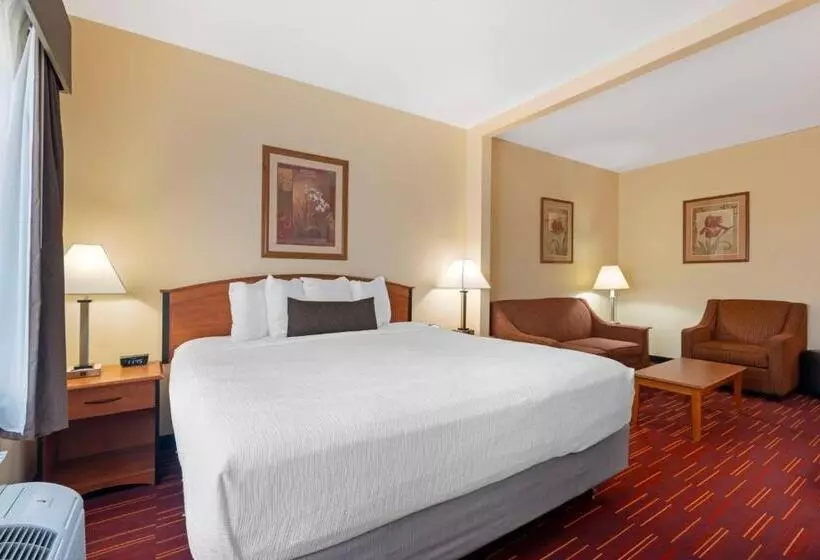 Sviitti King-vuode, Best Western Laramie Inn & Suites