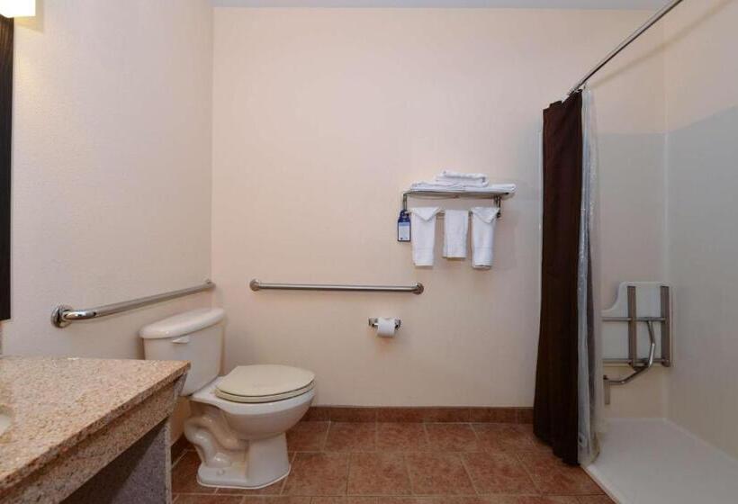 Номер Стандарт Кровать Кинг Адаптированный для Инвалидов, Best Western Laramie Inn & Suites