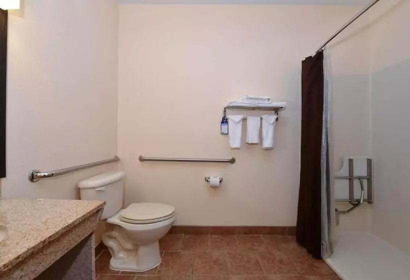 Standard-invahuone King-vuode, Best Western Laramie Inn & Suites