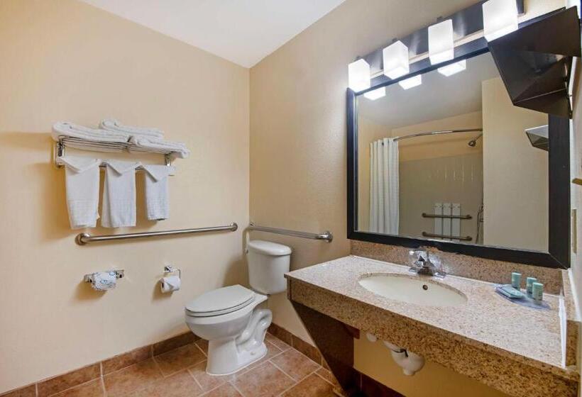 Номер Стандарт Кровать Кинг Адаптированный для Инвалидов, Best Western Laramie Inn & Suites