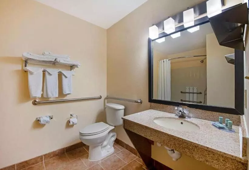 Standard-invahuone King-vuode, Best Western Laramie Inn & Suites