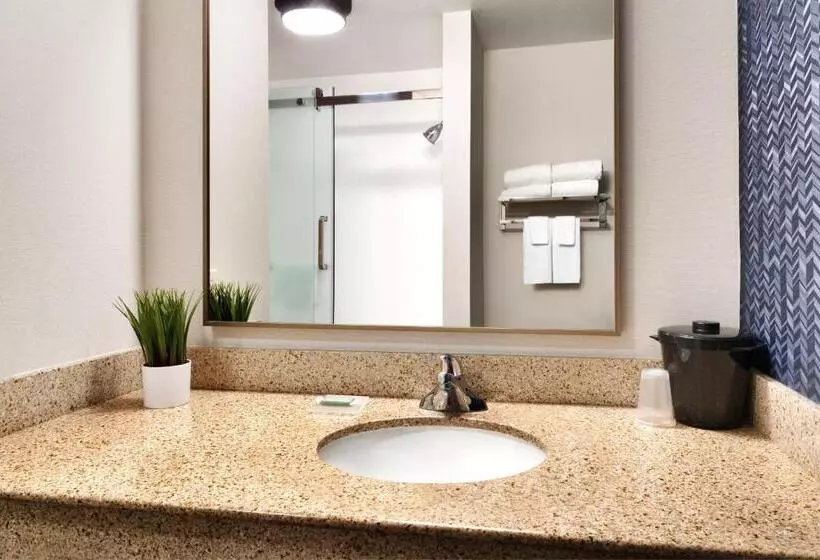 キングサイズベッドのスタンダードルーム, Fairfield Inn & Suites By Marriott Yakima
