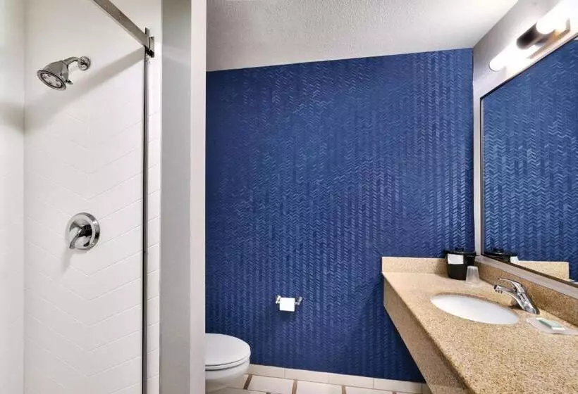 キングサイドベッドのスタンダードワンルーム, Fairfield Inn & Suites By Marriott Yakima