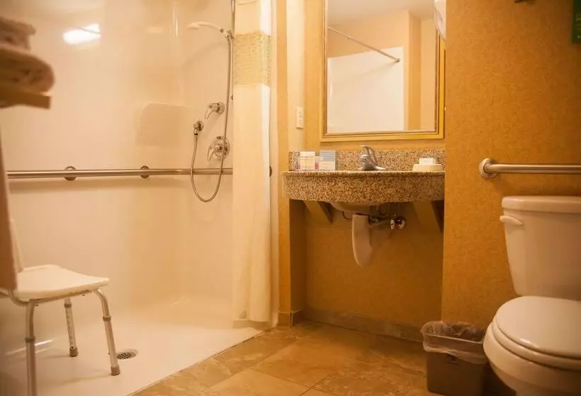 اتاق استاندارد برای معلولان, Hampton Inn Mountain Home