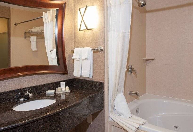 اتاق استاندارد, Hilton Garden Inn Indianapolis South/greenwood