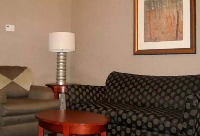 Juniorsviitti, Hilton Garden Inn Indianapolis South/greenwood
