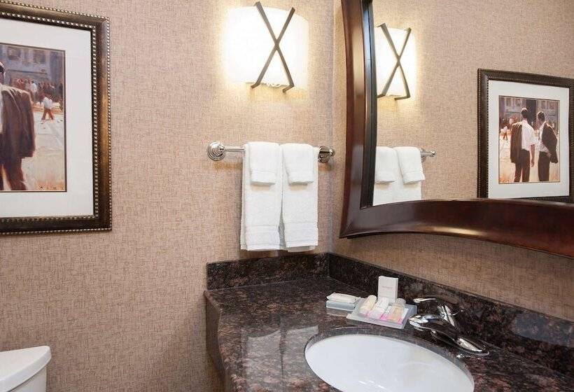 חדר סטנדרט מותאם לאדם עם מוגבלויות, Hilton Garden Inn Indianapolis South/greenwood