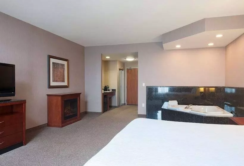 اتاق استاندارد برای معلولان, Hilton Garden Inn Indianapolis South/greenwood