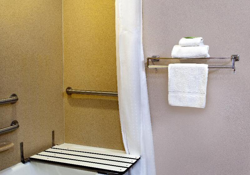 身障者適用キングサイズベッドルーム, Holiday Inn Express Hotel & Suites Inverness, An Ihg