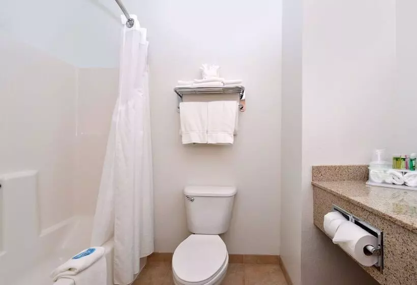 Standard-huone, Holiday Inn Express Hotel & Suites Omaha West, An Ihg