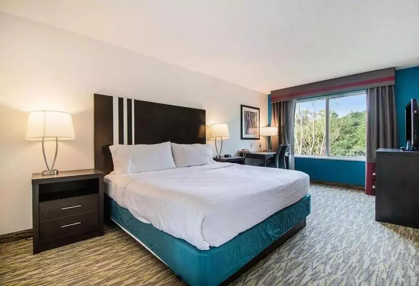 Standard-huone King-vuode, Holiday Inn Express Hotel & Suites Omaha West, An Ihg