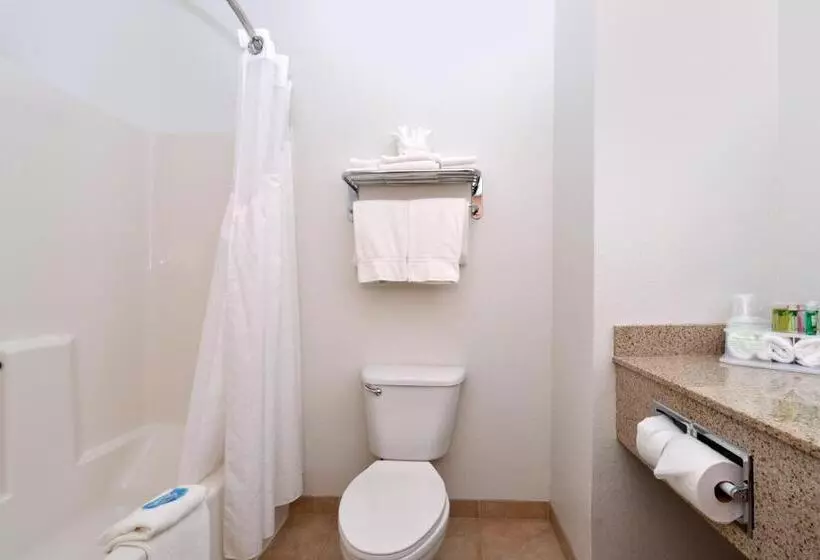 Standard-huone King-vuode, Holiday Inn Express Hotel & Suites Omaha West, An Ihg