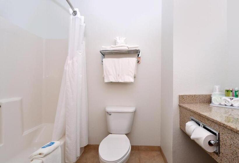 Люкс, Holiday Inn Express Hotel & Suites Omaha West, An Ihg