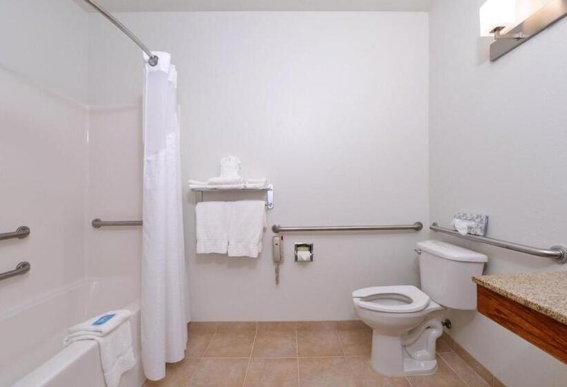 장애인을 위한 스위트, Holiday Inn Express Hotel & Suites Omaha West, An Ihg