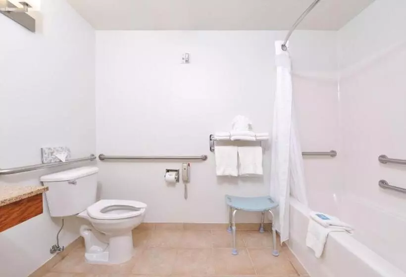 Sviitti Liikuntarajoitteisille, Holiday Inn Express Hotel & Suites Omaha West, An Ihg