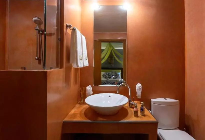 اتاق سوپریور, Riad L Heure D Eté