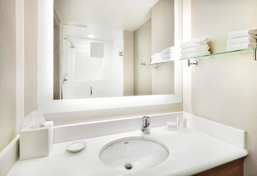 חדר סטודיו סטנדרד, Springhill Suites Indianapolis Downtown