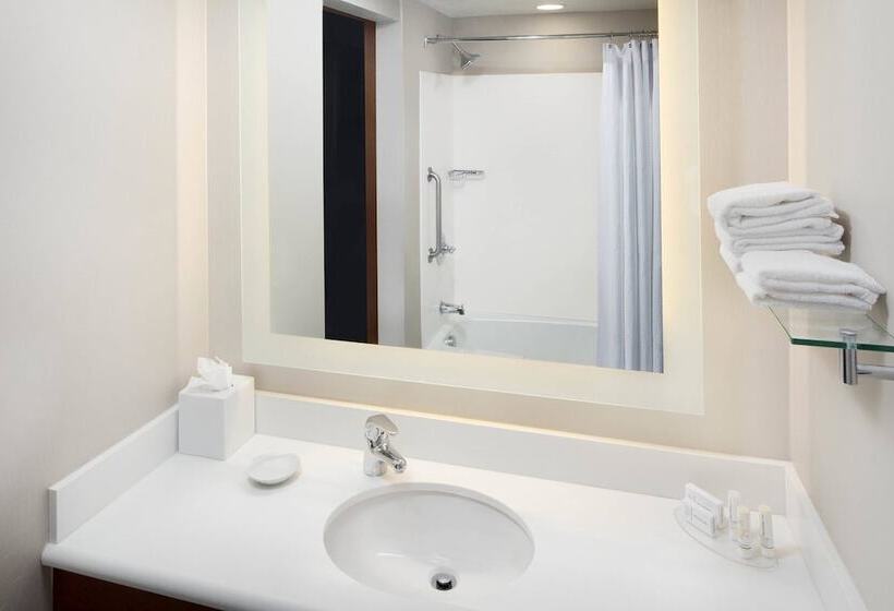 סטודיו סטנדרט נוף לעיר, Springhill Suites Indianapolis Downtown