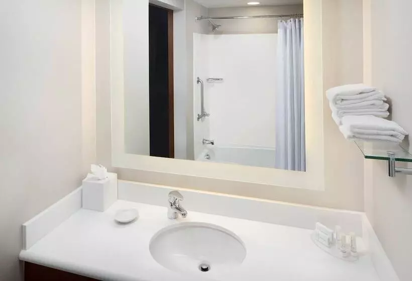 シティビューのスタンダードスタジオ, Springhill Suites Indianapolis Downtown