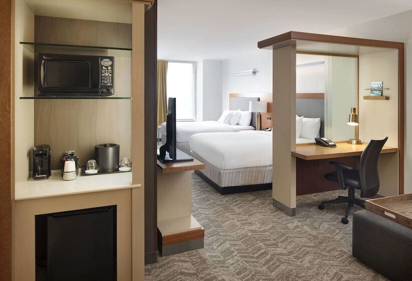 סטודיו סטנדרט נוף לעיר, Springhill Suites Indianapolis Downtown