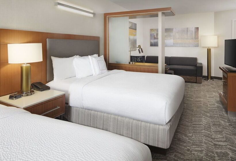 Standaard Studio met Uitzicht op de Stad, Springhill Suites Indianapolis Downtown